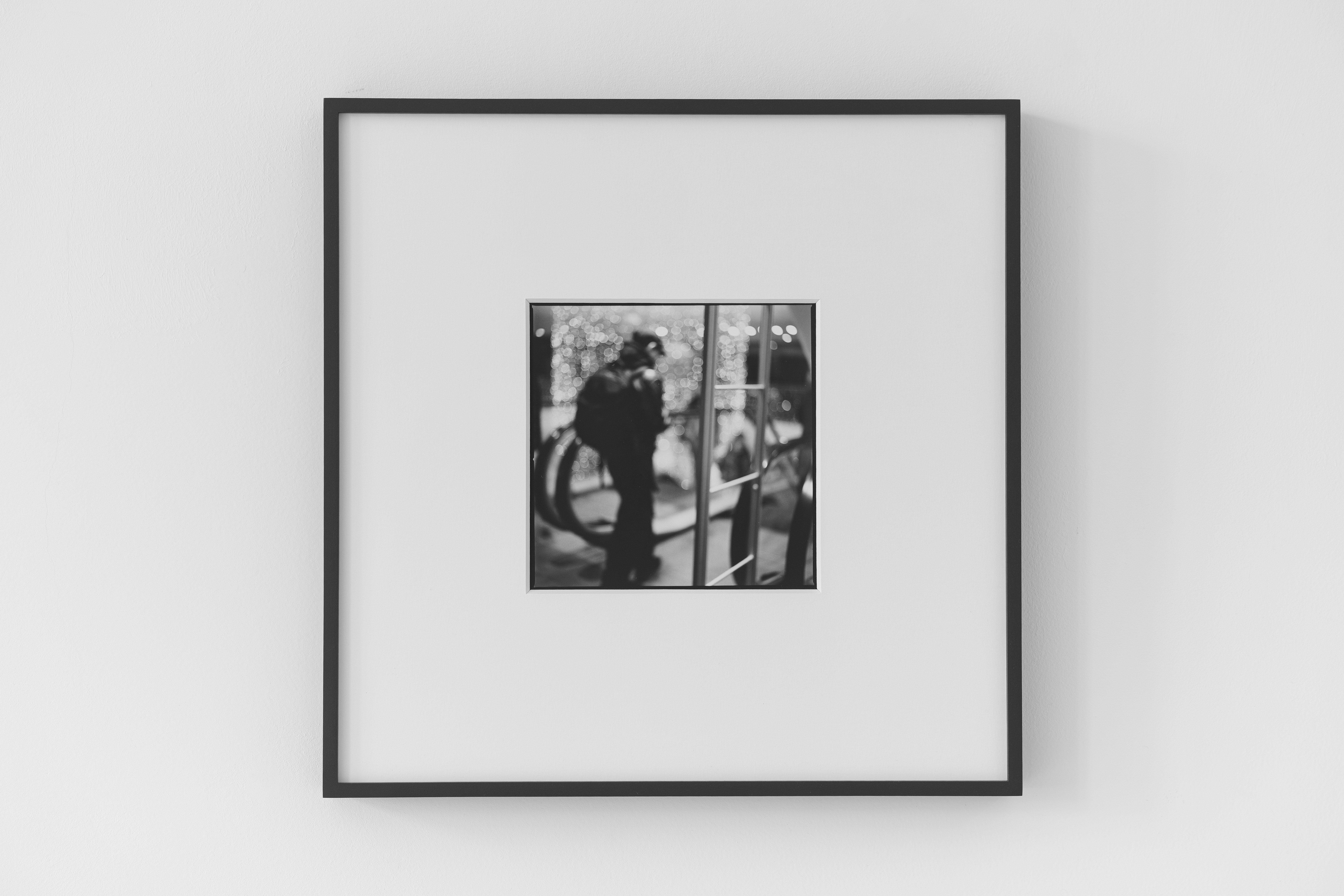silver gelatin print